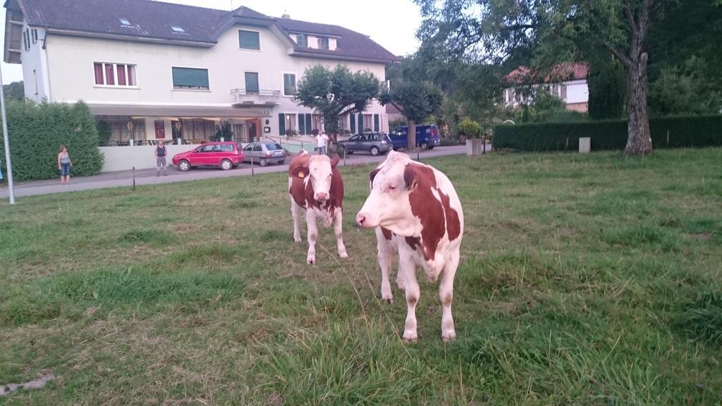 Hotel De La Gare, Vendlincourt Zewnętrze zdjęcie